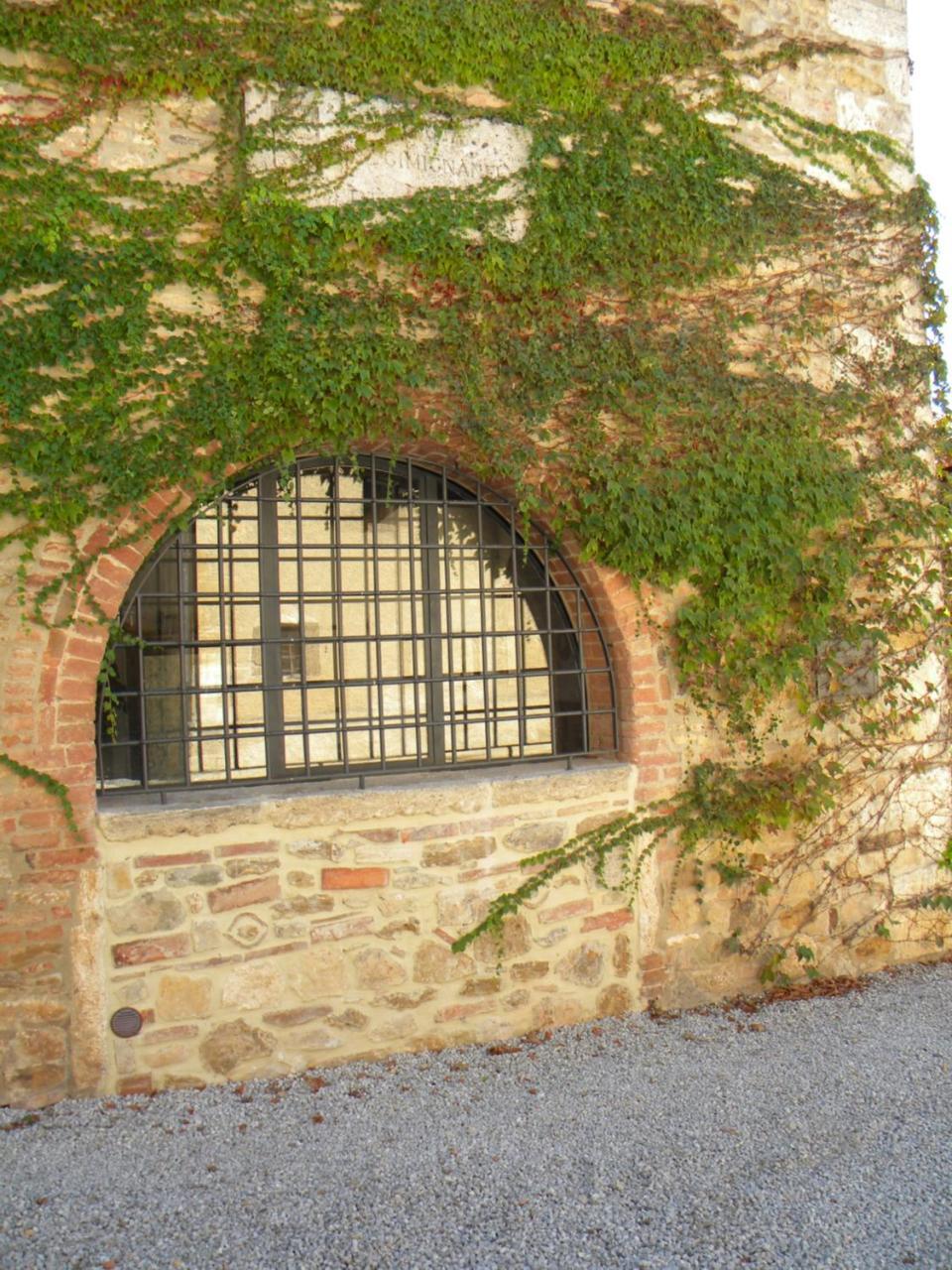 Agriturismo Tenuta Il Tasso ラポラーノ・テルメ エクステリア 写真